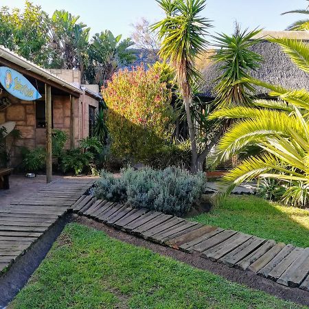 Saltycrax Backpackers And Surf Hostel By Curiocity Bloubergstrand Zewnętrze zdjęcie