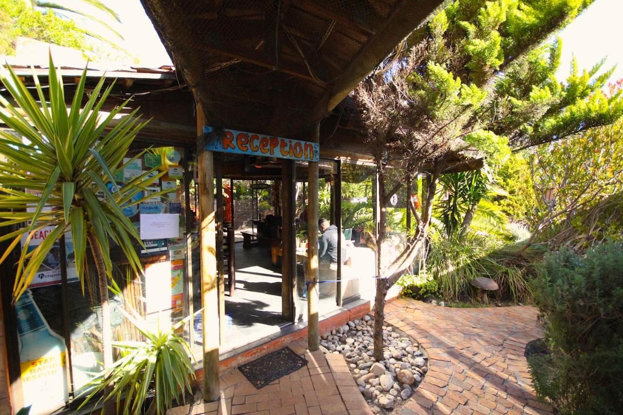 Saltycrax Backpackers And Surf Hostel By Curiocity Bloubergstrand Zewnętrze zdjęcie